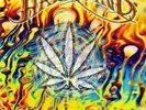 HAWKWIND - AMSTERDAM 2015 7
