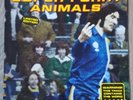 Super Furry Animals (SFA) The Man Don't Give a F**k 12