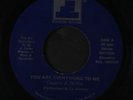 CAPPRA & DEVOE: You Are Everything To Me 45 (close to M-, no PS, Boogie)
