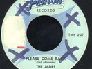 THE JADES Please Come Back [ HEAR IT  ] Mega-rare 1966 Michigan Garage Fenton 45