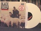 Black Sheep 