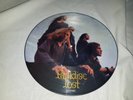LP PARADISE LOST * Gothic * PIC-LP* 1991, ohne Hülle, Limited Edition