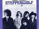 STEPPENWOLF 45 & PICTURE SLEEVE BORN TO BE WILD b/w THE PUSHER RARE NICE  PS
