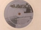 General Degree-Papa Lover Rollin/Wots My Code-Dubplate/Shy FX-45 Roller 12