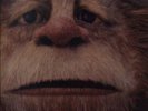 Where the Wild Things Are soundtrack Karen O LP / Warne