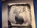 Miike Snow Self-Titled 2009 LP Vinyl Downtown Records Never Played Out Of Print