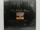 NEW FOUND GLORY - Nothing Gold Can Stay LP 2002 US ORIG Yellow Vinyl 0723/1000
