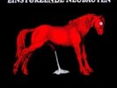 EINSTURZENDE NEUBAUTEN: HAUS DER LUEGE -REISSUE (LP vinyl)