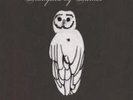 TRAMPLED BY TURTLES: PALOMINO (LP vinyl *BRAND NEW*)