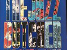 The Jazz Butcher Big Questions GLALP023 UK issue 1987 NM Condition