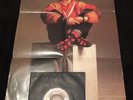 Madonna Rare 7” Poster Sleeve Gambler Cat No. QA6585