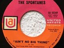 AIN'T NO BIG THING & WHERE DID I GO WRONG by The Spontanes on United Artists
