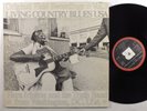 FLORA MOLTON & TRUTH BAND Living Country Blues USA Vol 3 BELLAPHON LP ++ germany