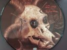 Six feet Under- Bringer des Blutes picture vinyl