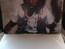 Lightspeed Champion, Falling Off The Lavender Bridge LP (Blood Orange)