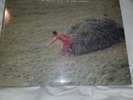 Kinski Be Gentle With The Warm Turtle rsd preorder.  Bonus tracks