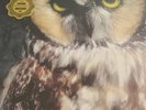 Ones and Sixes [9/11] * by Low (Vinyl, Sep-2015, 2 Discs, Sub Pop (USA))