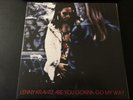 Lenny Kravitz - Are You Gonna Go My Way Vinyl - 180 Gram (2 LP)