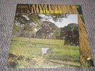 Daylight - RCA - UK Original Pressing LP