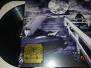 The Slim Shady LP vinyl by Eminem