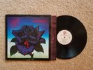 Thin Lizzy Black Rose Vinyl LP Record Album Original 1979 Pressing