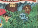 beach boys endless summer vinyl Vintage Lp’s 1974