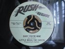 LITTLE BEN & THE CHEERS  