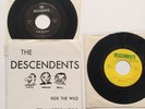 The Descendents x2 Ride The Wild 7” Enjoy lp Promo ALL Black Flag Punk