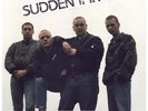 SUDDEN IMPACT - STORM LP ORIGINAL ROCK O RAMA REBELLES Oi PUNK LIKE NEW