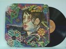 TODD RUNDGREN 