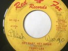 Garage 45/ Terry Lee & Revelers 