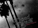 Dead Sara - Pleasure To Meet You