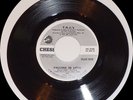 THE T.N.J.'s DON'T FORGET ABOUT ME 45 FALLING IN LOVE CHESS PROMO-7