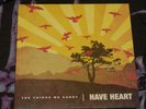 Have Heart ?– The Things We Carry  At The Sun bane comeback kid turnstile