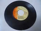 THE TERMITES -PUSH PUSH-GIRLS-   RARE REGGAE UK ORIG. NU BEAT -NB 017
