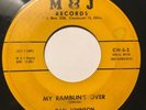 Dan Johnson Rare Ohio Rockabilly 45  1958 My Ramblin’s Over Free Don Willis 45