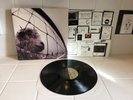 Pearl Jam Vs 12