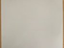 The Beatles White Album Double Vinyl With Inserts And Foldout
