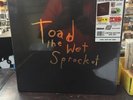 TOAD THE WET SPROCKET 5LP BOX SET RSD BLACK FRIDAY 2018 VINYL Dulcinea, Fear New