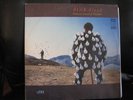 Pink Floyd, Delicate Sound of Thunder Vinyl LP Record, EMI, RARE RUSSIAN PROMO