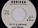 BILL BAKER: Is It A Dream AUDICON Doo Wop, Five Satins Rare Promo 7” 45 MP3