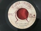 THE THREE BROTHERS/COME NATTY DREAD ROOTS REGGAE RARE 45