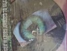 Roger Waters - Amused To Death Picture Disc 2LP) New Limited Edition FREE SHIP