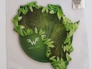 WEEZER AFRICA 10