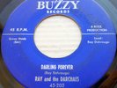 Ray & the DARCHAES 45 great Asbury Park N.J white doowop DARLING FOREVER pc333