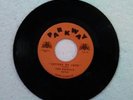 The Dovells 45 rpm 