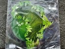 Weezer Africa RSD 2018 shaped vinyl 7