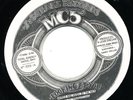 MC5 Looking At You BORDERLINE 45 Vinyl 333 RARE Psych PUNK Garage DETROIT LISTEN