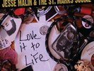 Jesse Malin & the St.Marks Social - Love It to Life [Vinyl LP] (LP)