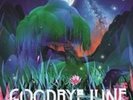 GOODBYE JUNE: MAGIC VALLEY (LP vinyl *BRAND NEW*)
